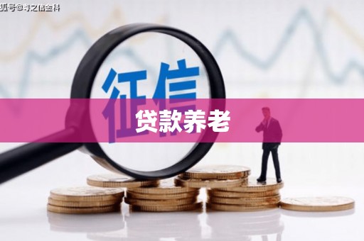 绥中贷款养老