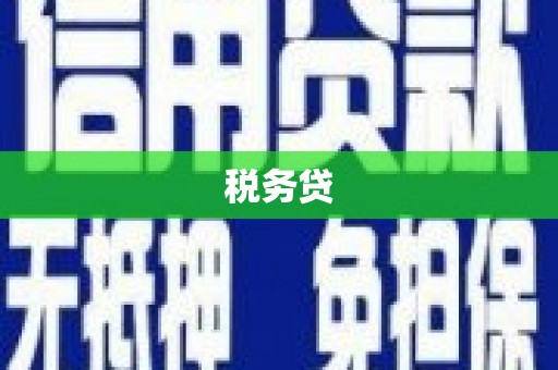 绥中税务贷