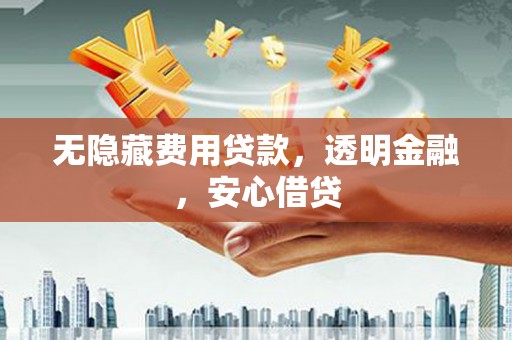 绥中无隐藏费用贷款，透明金融，安心借贷
