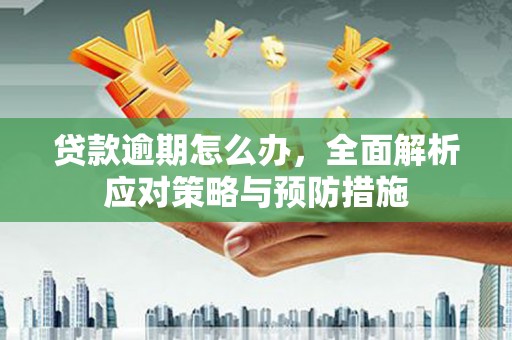绥中贷款逾期怎么办，全面解析应对策略与预防措施