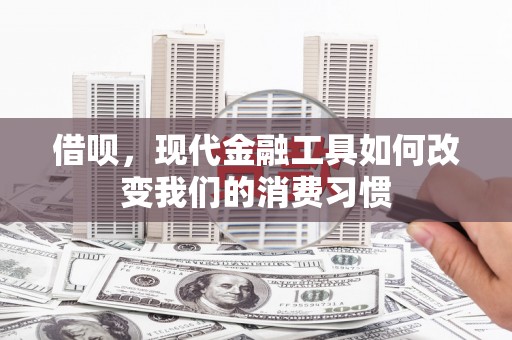 绥中借呗，现代金融工具如何改变我们的消费习惯