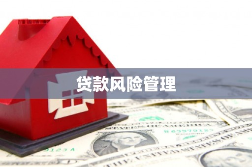 绥中贷款风险管理