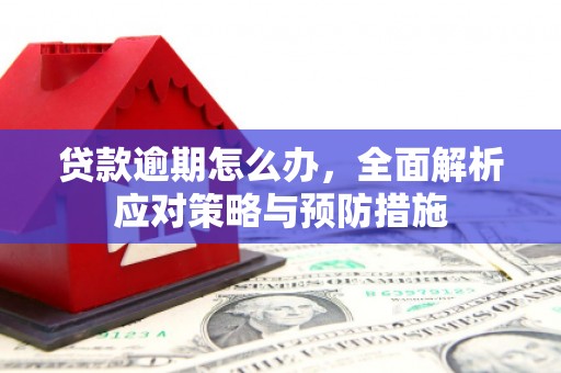 绥中贷款逾期怎么办，全面解析应对策略与预防措施