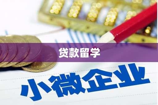 绥中贷款留学