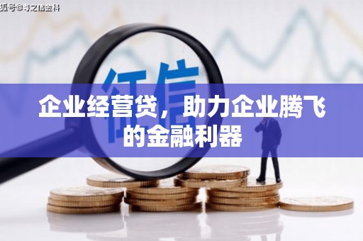 绥中企业经营贷，助力企业腾飞的金融利器