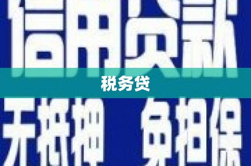 绥中税务贷