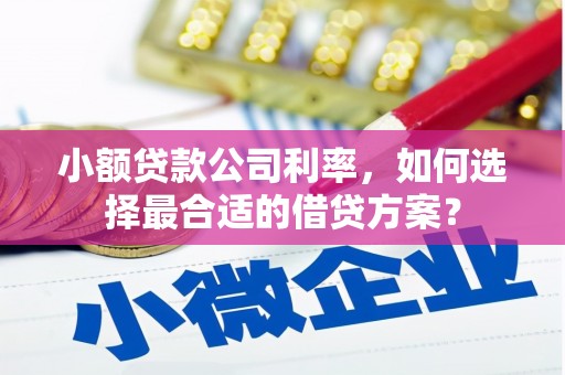 绥中小额贷款公司利率，如何选择最合适的借贷方案？