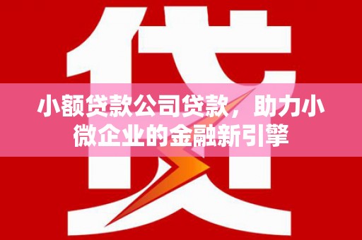 绥中小额贷款公司贷款，助力小微企业的金融新引擎