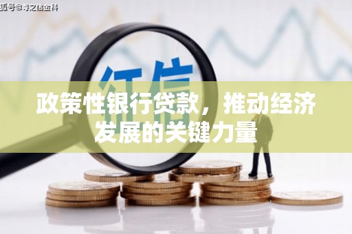 绥中政策性银行贷款，推动经济发展的关键力量