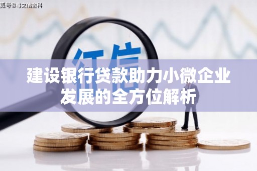 绥中建设银行贷款助力小微企业发展的全方位解析