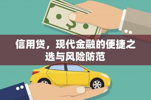 绥中信用贷，现代金融的便捷之选与风险防范