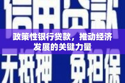 绥中政策性银行贷款，推动经济发展的关键力量