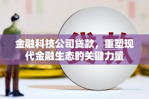 绥中金融科技公司贷款，重塑现代金融生态的关键力量