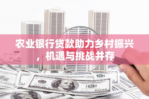绥中农业银行贷款助力乡村振兴，机遇与挑战并存