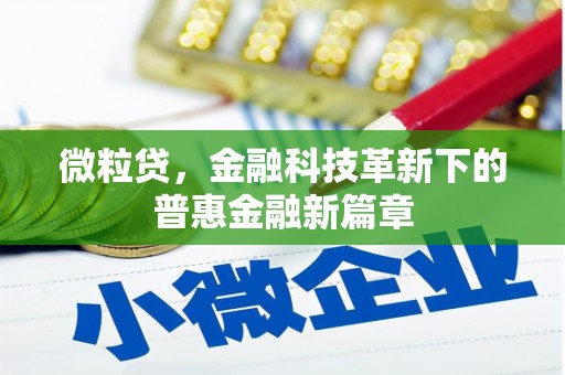 绥中微粒贷，金融科技革新下的普惠金融新篇章