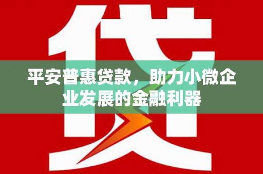 绥中平安普惠贷款，助力小微企业发展的金融利器