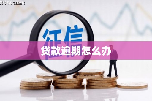 绥中贷款逾期怎么办