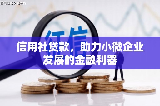 绥中信用社贷款，助力小微企业发展的金融利器