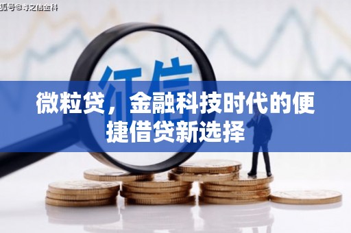绥中微粒贷，金融科技时代的便捷借贷新选择