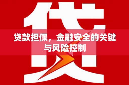 绥中贷款担保，金融安全的关键与风险控制