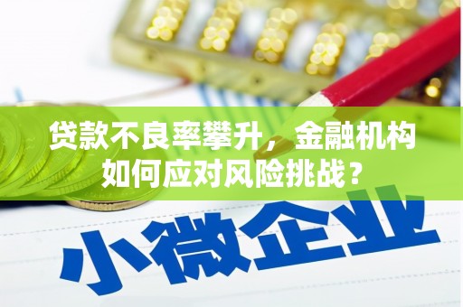 绥中贷款不良率攀升，金融机构如何应对风险挑战？