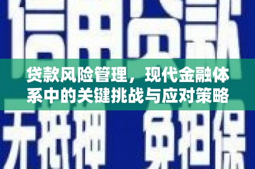 绥中贷款风险管理，现代金融体系中的关键挑战与应对策略