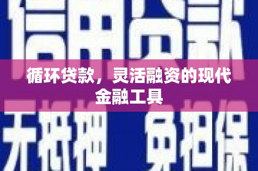 绥中循环贷款，灵活融资的现代金融工具