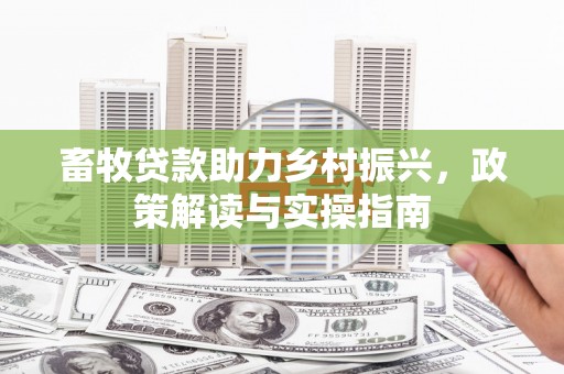 绥中畜牧贷款助力乡村振兴，政策解读与实操指南
