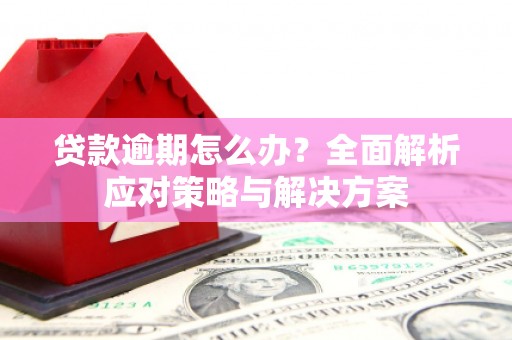 绥中贷款逾期怎么办？全面解析应对策略与解决方案