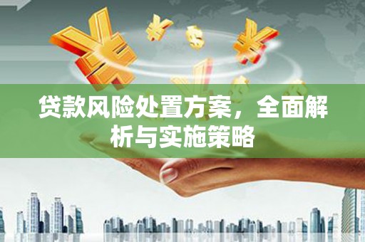 绥中贷款风险处置方案，全面解析与实施策略