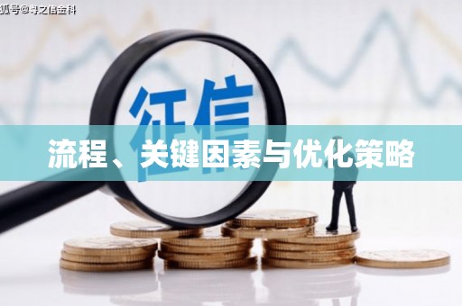 绥中流程、关键因素与优化策略