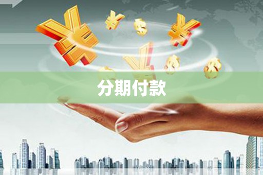 绥中分期付款