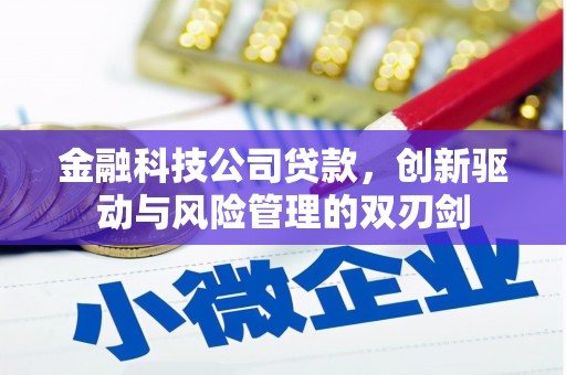 绥中金融科技公司贷款，创新驱动与风险管理的双刃剑