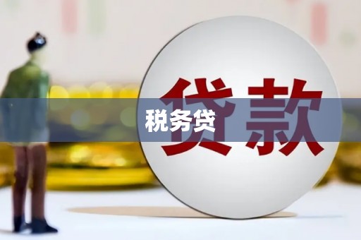绥中税务贷